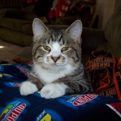 犬🐕と猫🐈が好きです。Twitter初心者なので無言フォロー失礼します。世の中の出来事などをつぶやきます。無言フォローするので嫌ならブロックしてください。よろしくお願いします