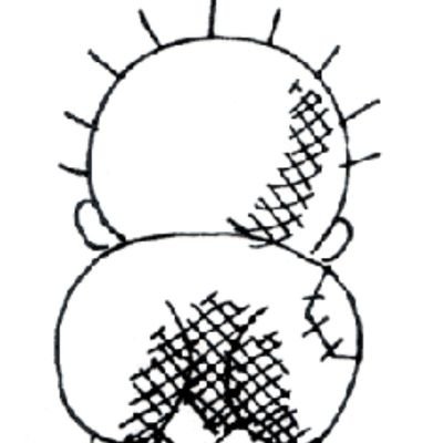 canntfoolme's profile picture. 