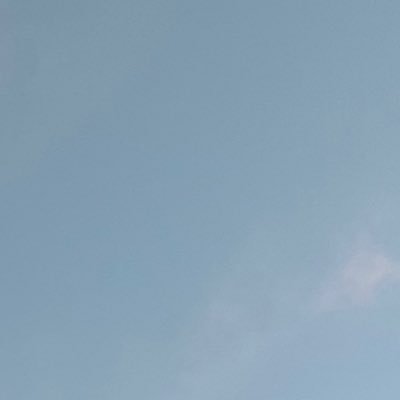 大事なことを埋めるアカウント。