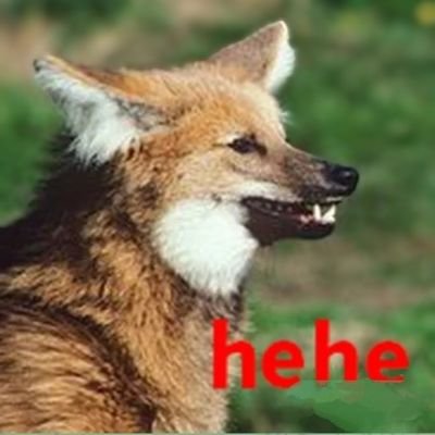 Just for browsing furry artists! Maned wolf test drive. 35, M (he/him) 🇧🇷
