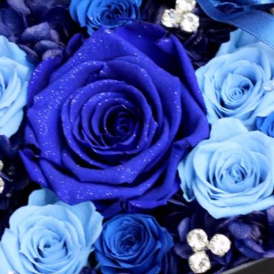 @narurun_244_51