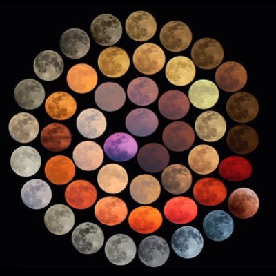 seyemaydonoz's profile picture. 