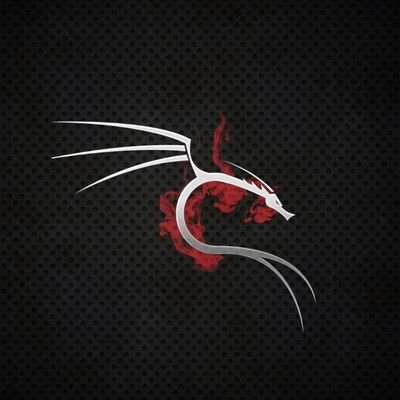 Ake_elS's profile picture. 