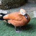 ã¿ãããŒãŒãð†(@miruboro) Twitter profile photo ã¿ãããŒãŒãð†(@miruboro) Twitter profile photo