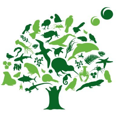 Forest & Bird Profile
