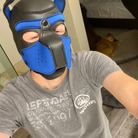 Alpha Pup Stunner (@pupstunner) 's Twitter Profile
