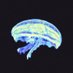 mei 🪼 (@meianart) Twitter profile photo mei 🪼 (@meianart) Twitter profile photo