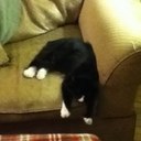 Ryan Jory - @jory_ryan - Twitter