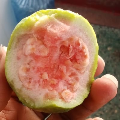 streetladd's profile picture. Shut up as I pump knowledge to your empty brain