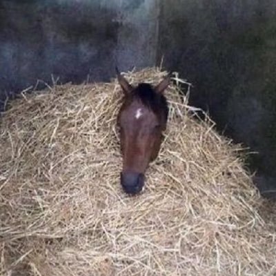 Beee_468's profile picture. 