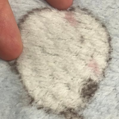 panpi_hi's profile picture. 非を認めない人に非を認めないとか言われたくない 第３章始めました【11.16~ 第4章𝐬𝐭𝐚𝐫𝐭】