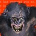 Wyatt-Andrews-Workshop (@wa_workshop) Twitter profile photo Wyatt-Andrews-Workshop (@wa_workshop) Twitter profile photo