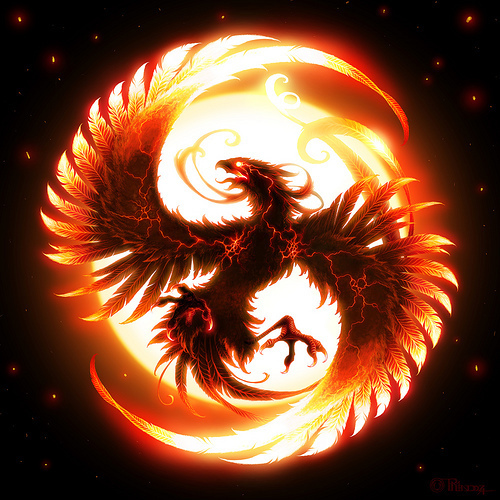 Professional fan in the multiverse of fandom……….夜