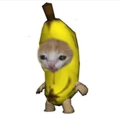 콤마さんのプロフィール画像