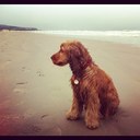 wendy mccarter - @WendyMccarter - Twitter