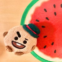 のんこ🫧香害(こうがい)を知って洗剤変えた人🫧 (@korieramucho) 's Twitter Profile