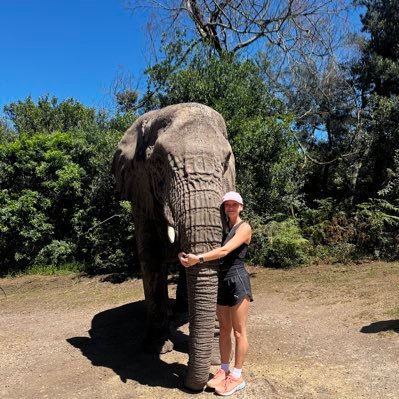 rebeccawarrilow Profile