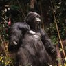 chimumari6's profile picture. 死ぬまでトリコロール