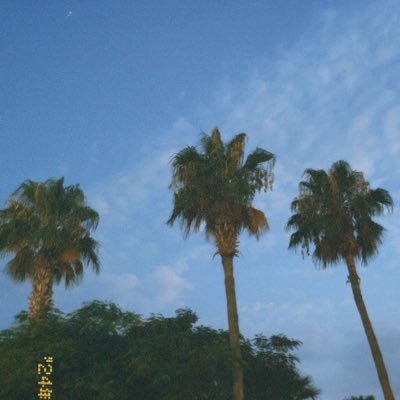 Saramauy's profile picture. 🦋