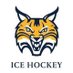 Quinnipiac Men's Ice Hockey (@qu_mih) Twitter profile photo Quinnipiac Men's Ice Hockey (@qu_mih) Twitter profile photo