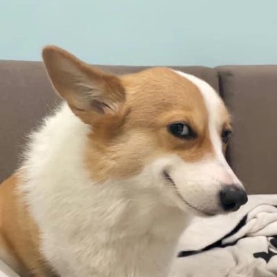 nhundt26's profile picture.