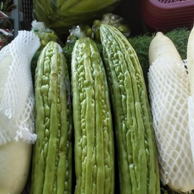 nphkea_ng74309's profile picture. 