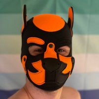 Ajax ➡️ pupajaxthegreat.bsky.social (@pupajaxthegreat) 's Twitter Profile