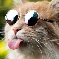 ๐๐๐๐๐๐ โ
๏ธ (@nathanredivo) 's Twitter Profile