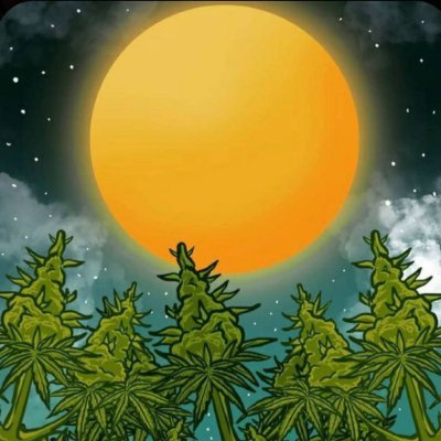 AnhMinh2402's profile picture. Hi