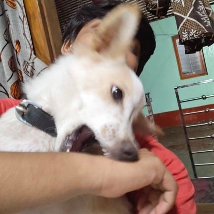 vichuvishnu254's profile picture. atheist,rationalist