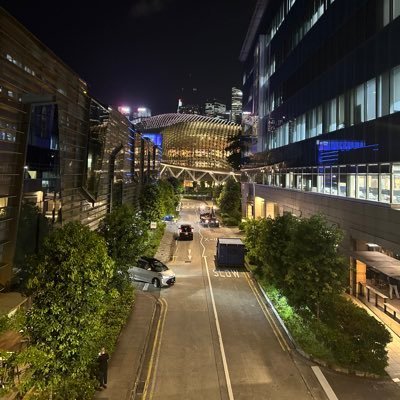 SergivsB69030's profile picture. Psychology Master, Science militant, History fan and linguistics enthusiast.