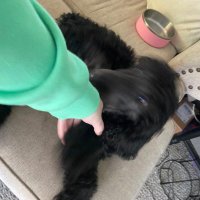♡ shelby ♡ (@shelbybg18) 's Twitter Profile