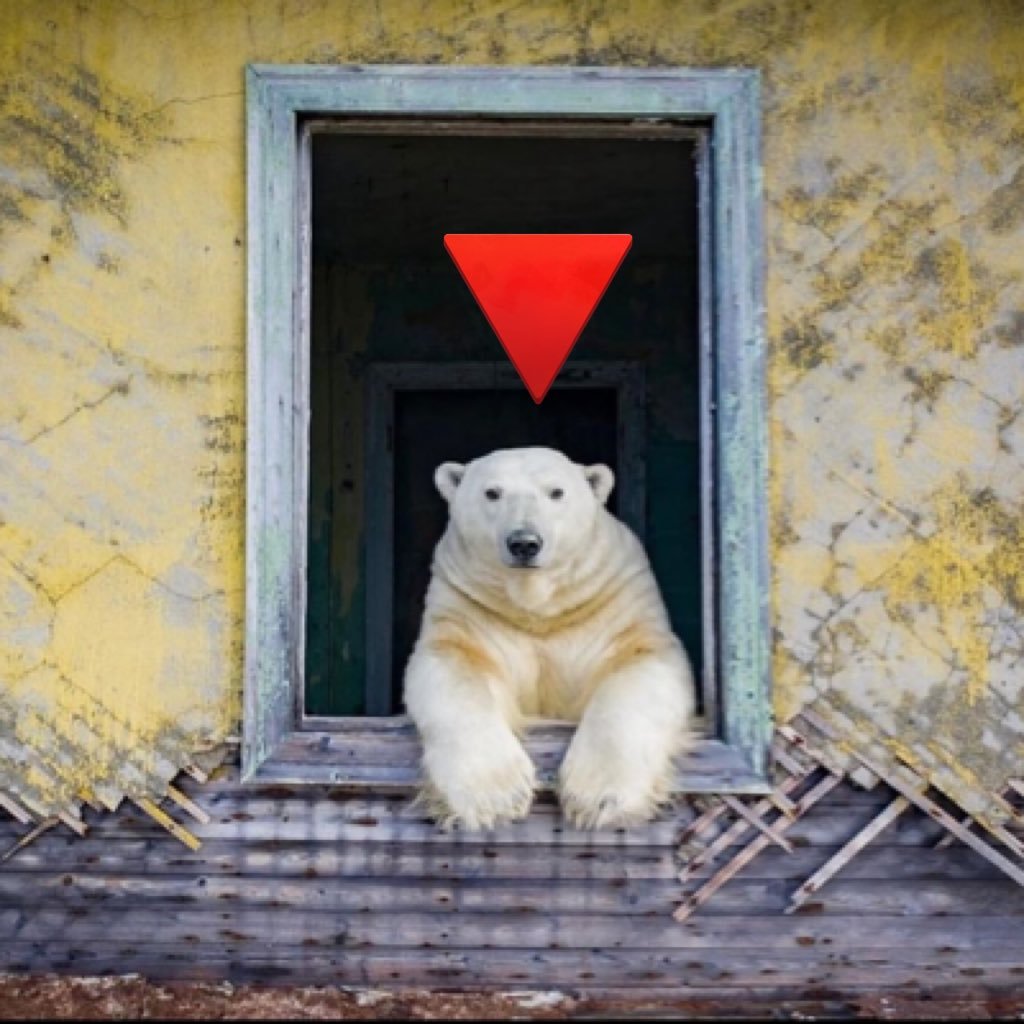 MataPacos919's profile picture. Vulgar anti-American, junior Civil Engineer. Colombian 🇨🇴.                                                               ANTI GRINGO AKTION ✊