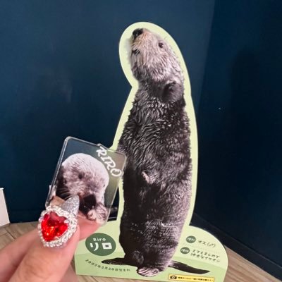 pzzzpchan's profile picture. 🦦𓂃 𓈒𓏸