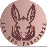 Lar dos Pancinhas ๐๐ด (@cariaerica) 's Twitter Profile Photo Lar dos Pancinhas ๐๐ด (@cariaerica) 's Twitter Profile Photo