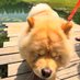 sudLor(ตรงข้าม) (@r1jakeb) Twitter profile photo sudLor(ตรงข้าม) (@r1jakeb) Twitter profile photo