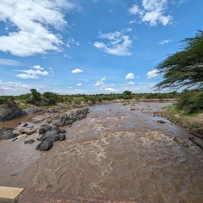 Randybrian2's profile picture. #live #love #laugh
lover of life
passionate about technology and politics