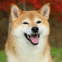 parker_dav54038's profile picture. Creator • Manager • Advisor • Creator of @creators_nexus • Team @Oogaverse | @seedhub_gaming