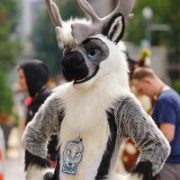 Borå (@boracaribou) 's Twitter Profile