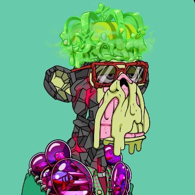 Team42 Profile