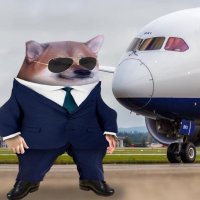 CEO of Fella Airlines 🇺🇸 🇺🇦 (@fellaairlines) Twitter profile photo