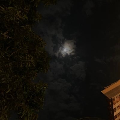 kur0inuu's profile picture. aih pepek pepek