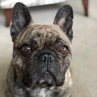 Milli Profile