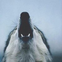 Pdh (@pdh_crypto) 's Twitter Profile