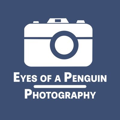 I'm Paul Cook. I take pictures of traction engines & motorsport, go watch stock cars and follow the Mighty Imps. Proud to be a Goodwood RRC member.