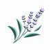 All About Lavender (@lavender_2024) Twitter profile photo All About Lavender (@lavender_2024) Twitter profile photo