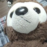 クリオネ (@k5tmwt) 's Twitter Profile