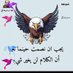 عايش مستني نهايه (@drysmmd32146317) Twitter profile photo عايش مستني نهايه (@drysmmd32146317) Twitter profile photo