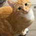 Rita Gohl (@gohl22739) Twitter profile photo Rita Gohl (@gohl22739) Twitter profile photo