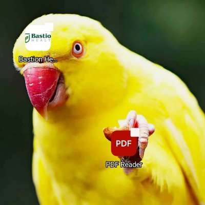 AskiraAhme21430's profile picture. 